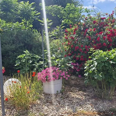 Apartment Przy Stawach Apartamenty&agroturystyka