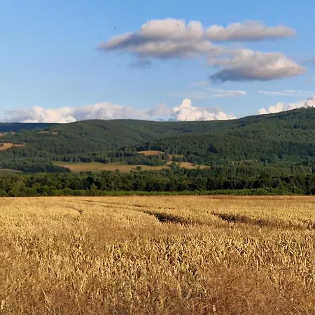 Apartment Przy Stawach Apartamenty&agroturystyka