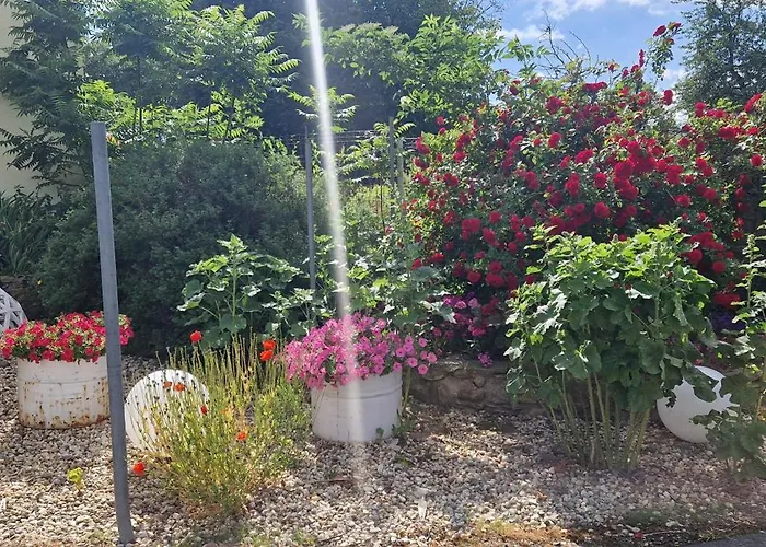 아파트 Przy Stawach Apartamenty&agroturystyka