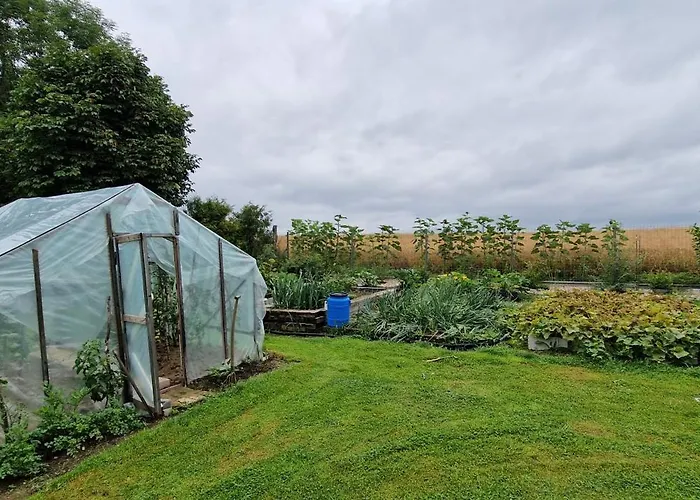 Daire Przy Stawach Apartamenty&agroturystyka *