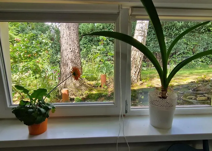 Przy Stawach Apartamenty&agroturystyka 아파트 포비에드나