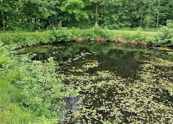 Przy Stawach Apartamenty&agroturystyka