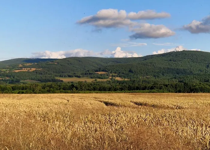 아파트 Przy Stawach Apartamenty&agroturystyka