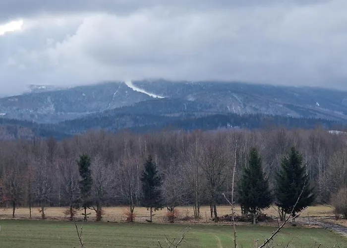 Daire Przy Stawach Apartamenty&agroturystyka *