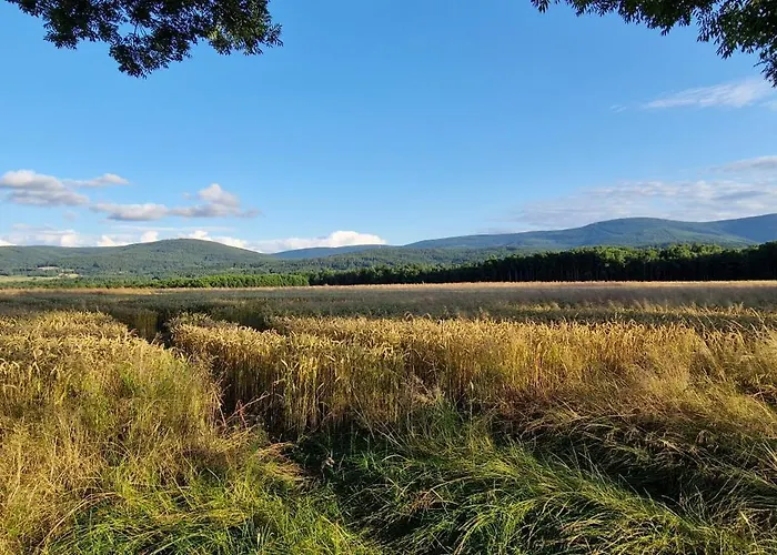 아파트 Przy Stawach Apartamenty&agroturystyka 포비에드나