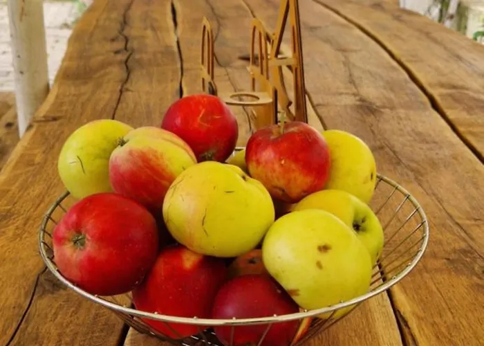 Przy Stawach Apartamenty&agroturystyka